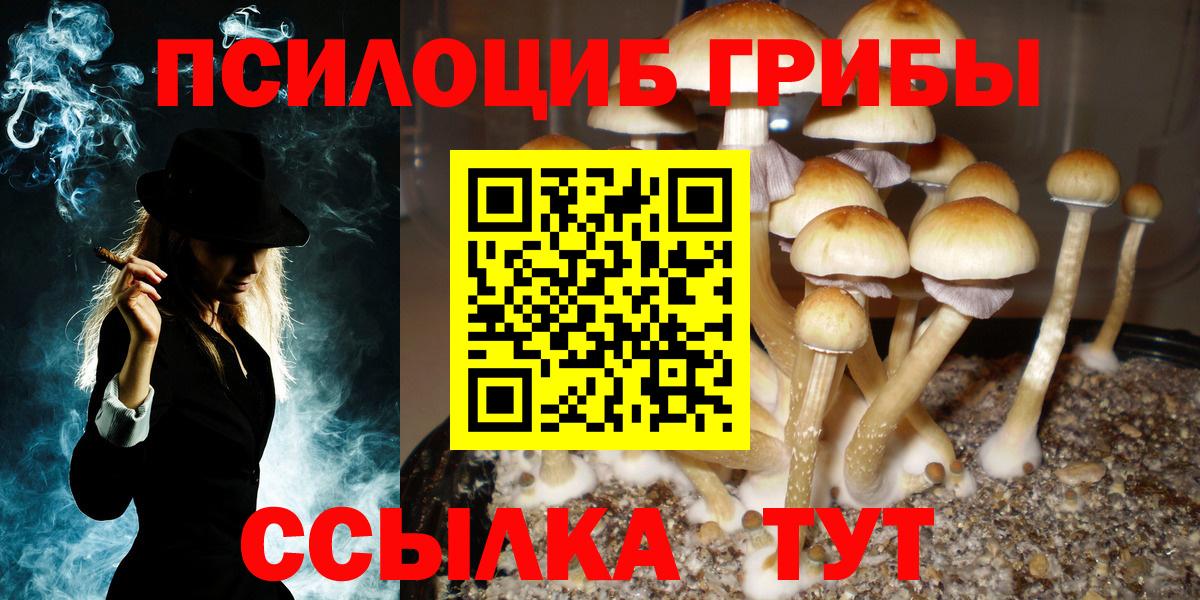 Галлюциногенные грибы ЛСД Асино